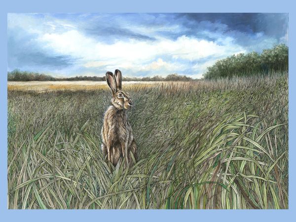 Hare in Field by Nancy Bevington artwork